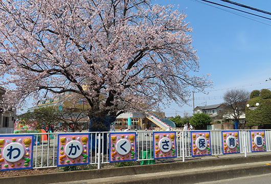 写真1