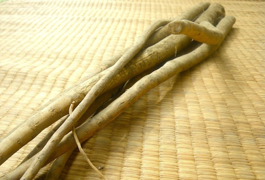 玉ねぎ
