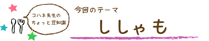 コハネ先生のちょこっと豆知識