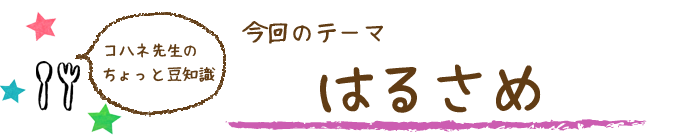 コハネ先生のちょこっと豆知識