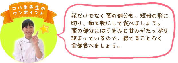 コハネ先生のワンポイント