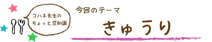 コハネ先生のちょこっと豆知識