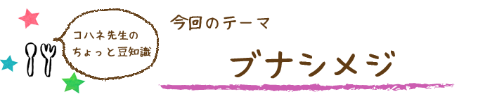 コハネ先生のちょこっと豆知識