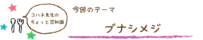 コハネ先生のちょこっと豆知識